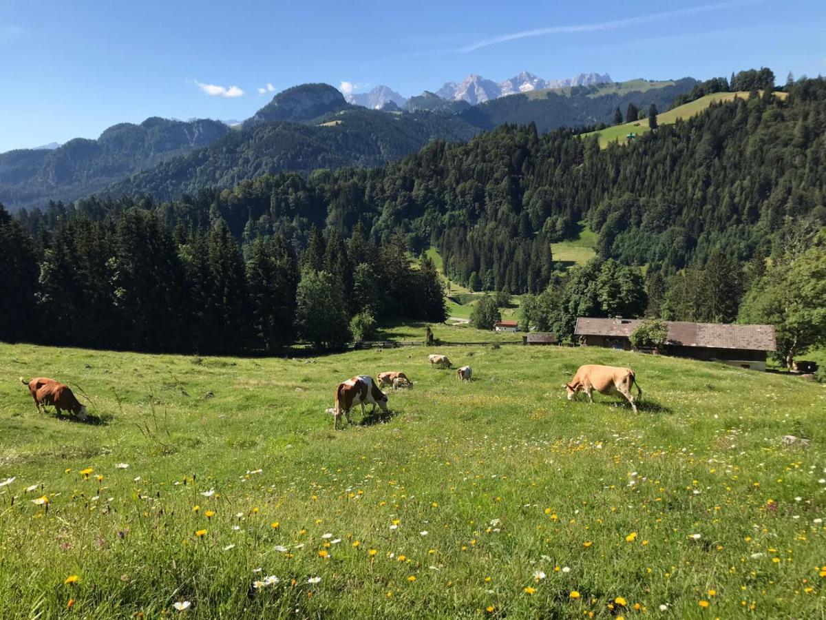 Appartamento Biobauernhof Schneiderbauer Unken Esterno foto