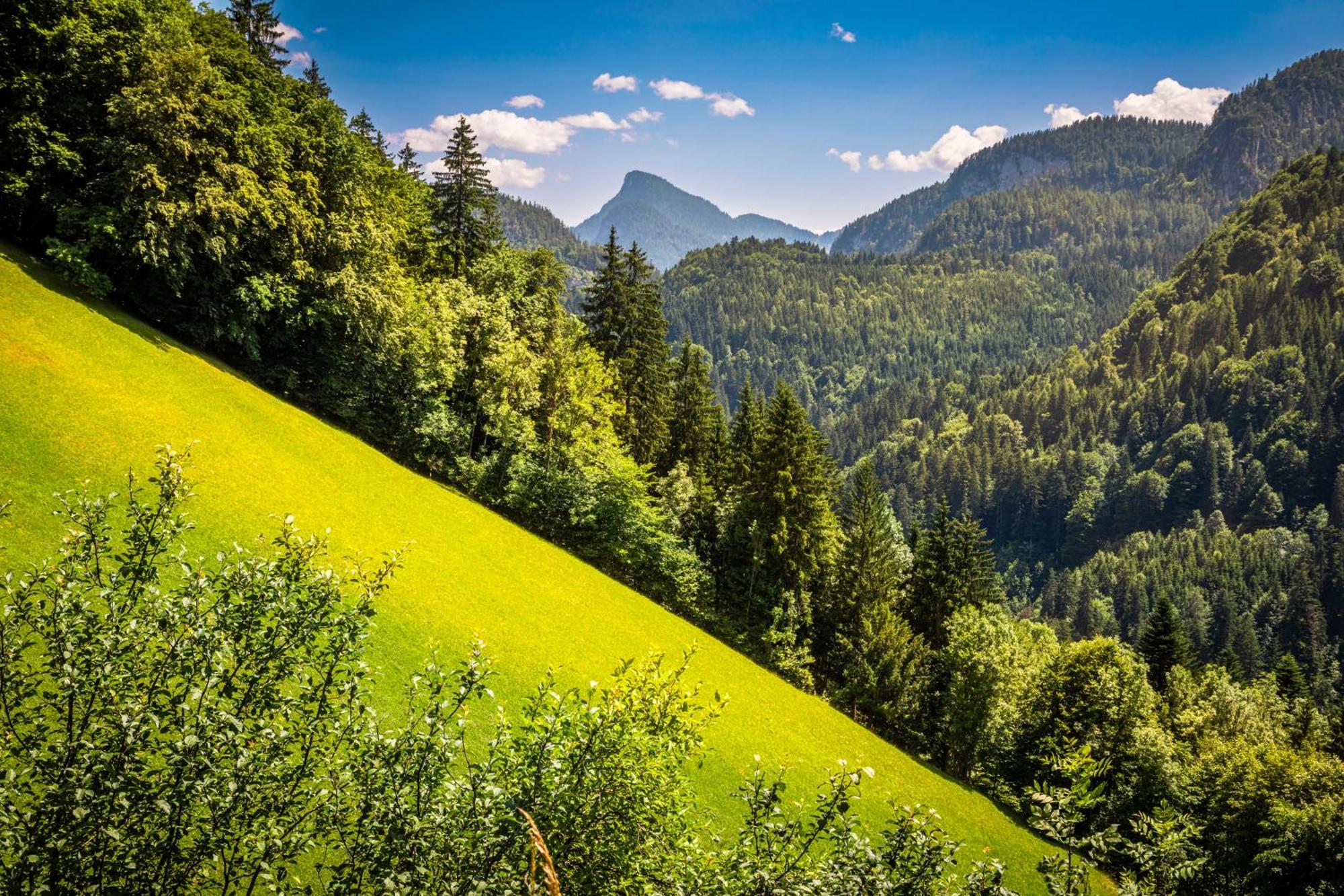 Appartamento Biobauernhof Schneiderbauer Unken Esterno foto