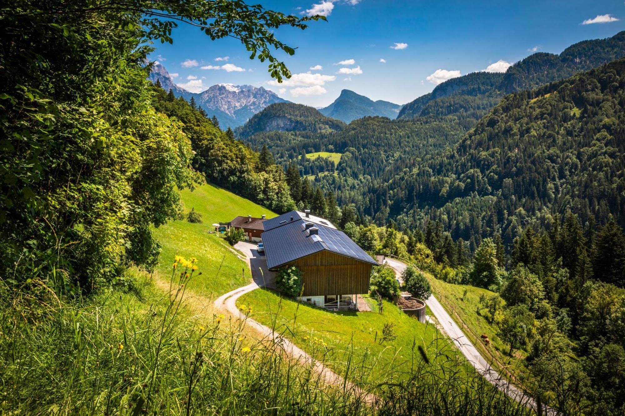 Appartamento Biobauernhof Schneiderbauer Unken Esterno foto
