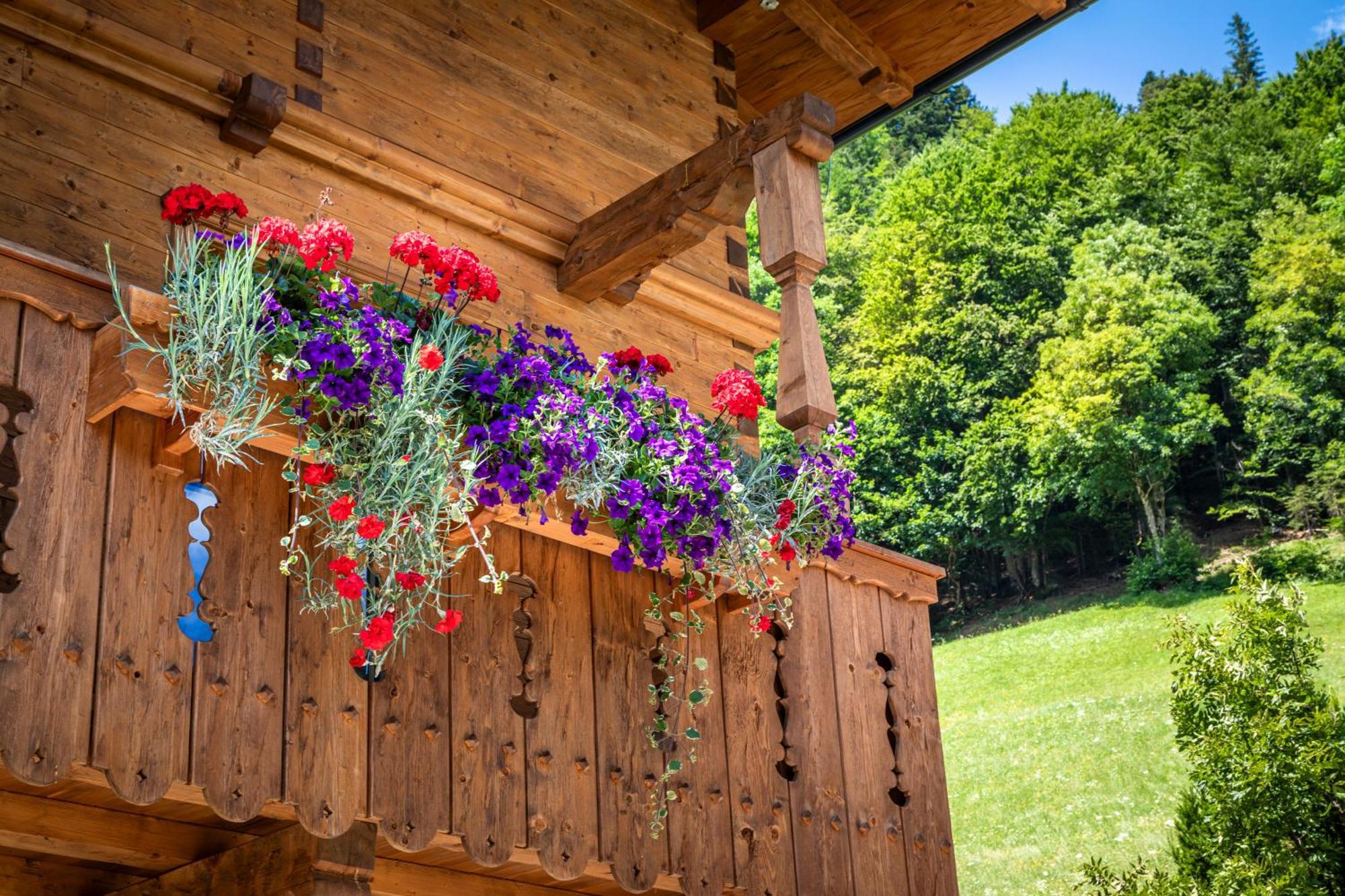 Appartamento Biobauernhof Schneiderbauer Unken Esterno foto